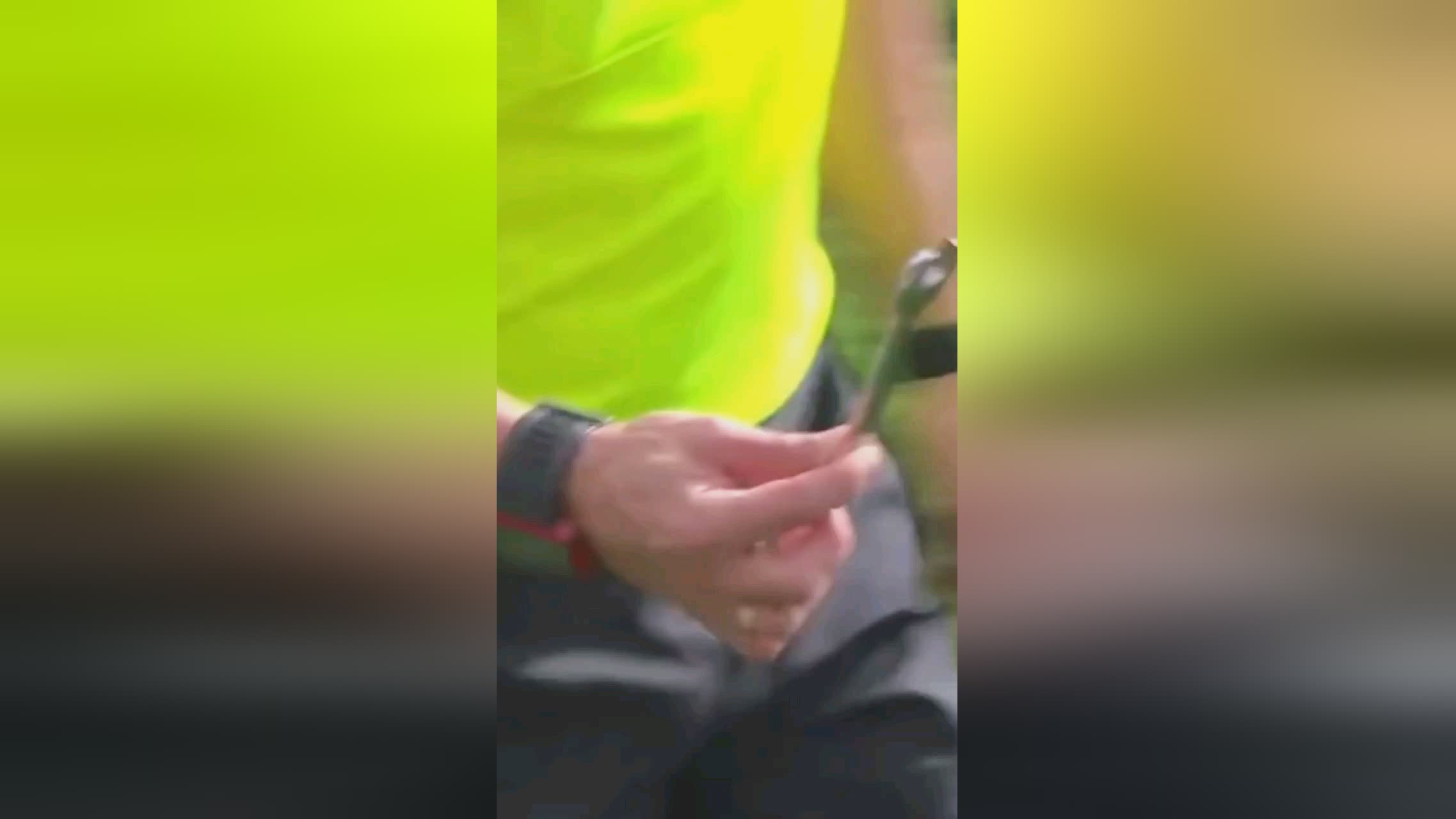 传的